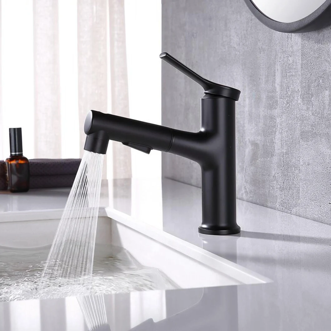 Luxury Matte Black Flexible Single Hole Pull out Taps Product